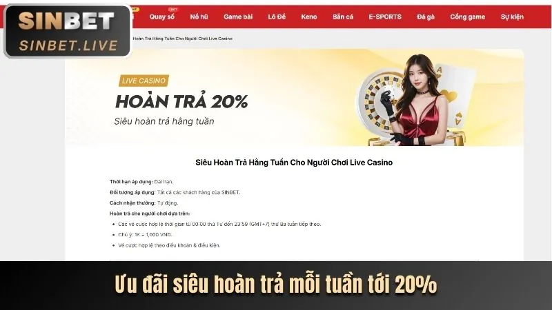 Sự kiện đặc biệt và ưu đãi theo mùa của bu88